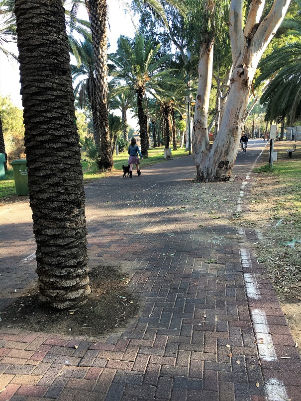 Radwege die 2te/Bike Paths 2nd